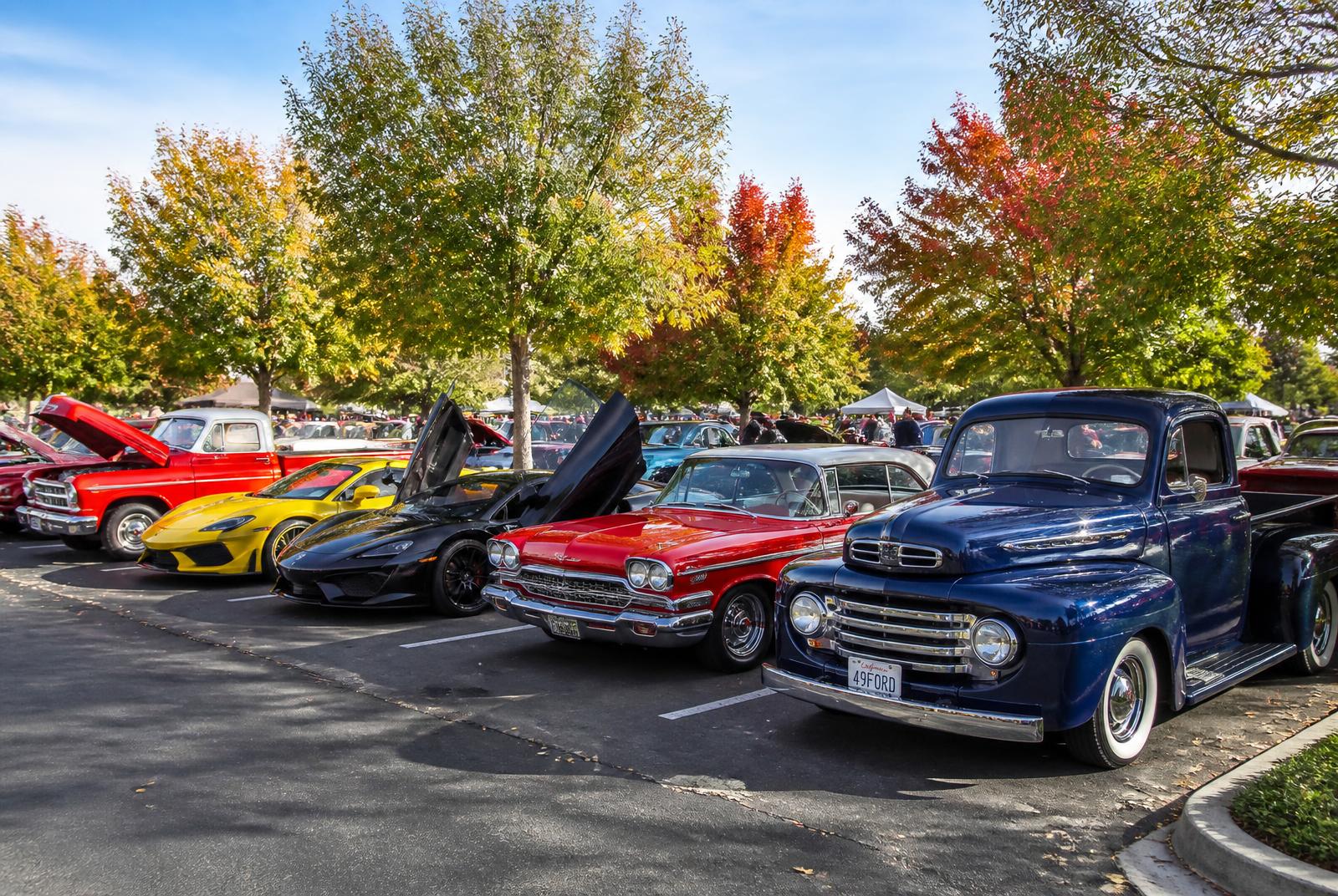 Row of exotic, classic and vintage vehicles lined up at an outdoor car show